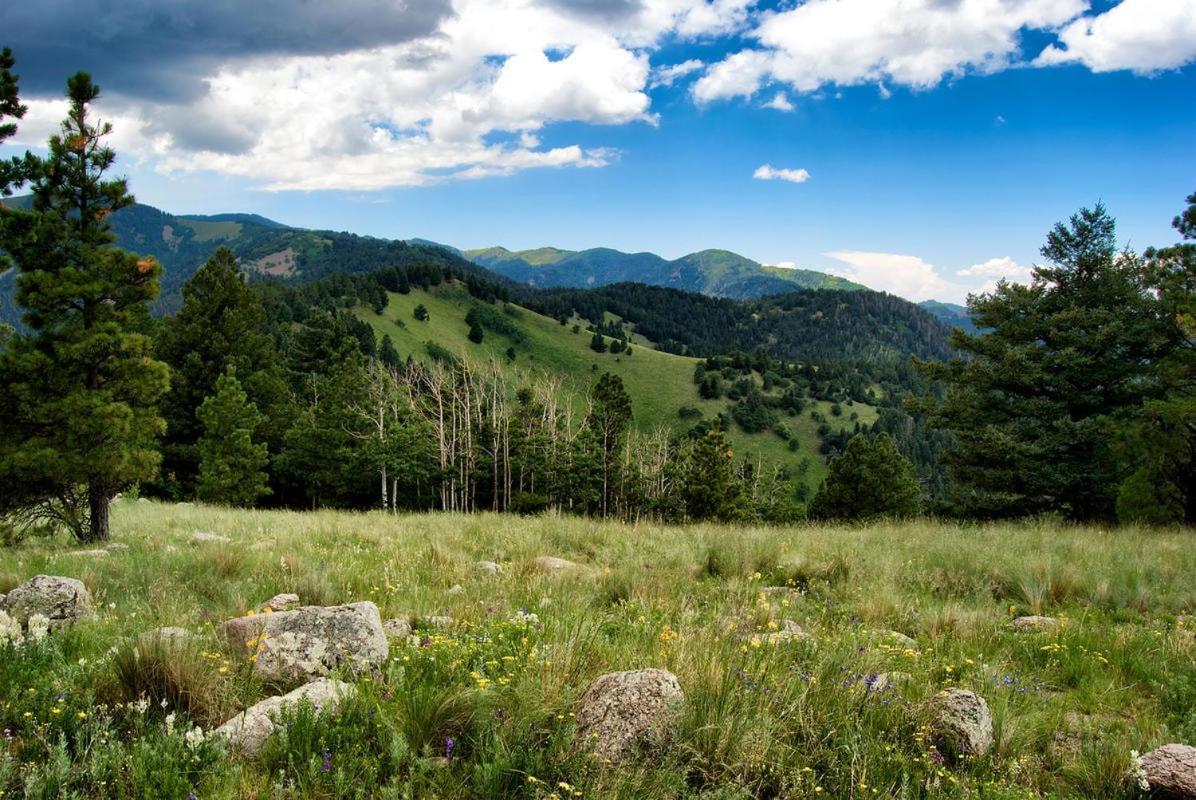 Sleeping Bear, 2 Bedrooms, Front Deck, Midtown, Sleeps 6 Ruidoso Exterior foto